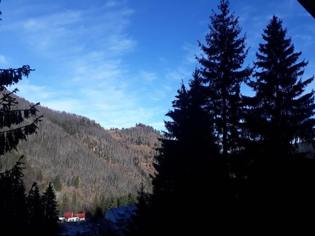Cabana "Trei Brazi " Retezat Malomvíz Kültér fotó