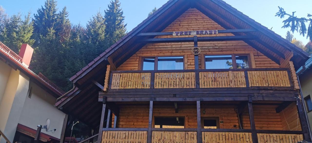 Cabana "Trei Brazi " Retezat Malomvíz Kültér fotó