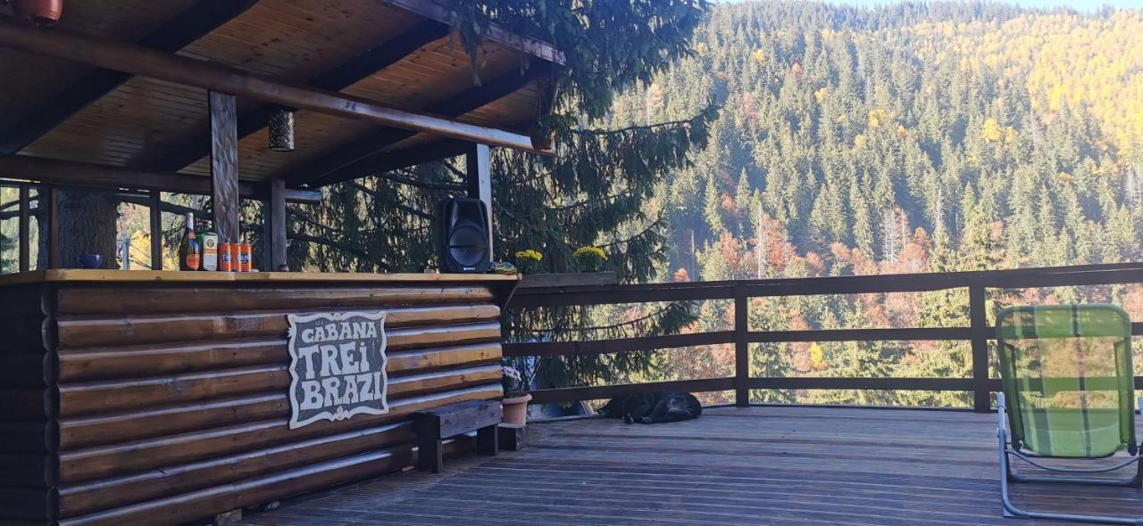 Cabana "Trei Brazi " Retezat Malomvíz Kültér fotó